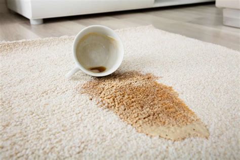 Fight Allergens and Breathe Clean Air with Magic Carpet Cleaners